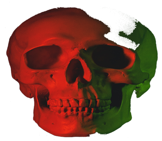 halloween skull transparent background